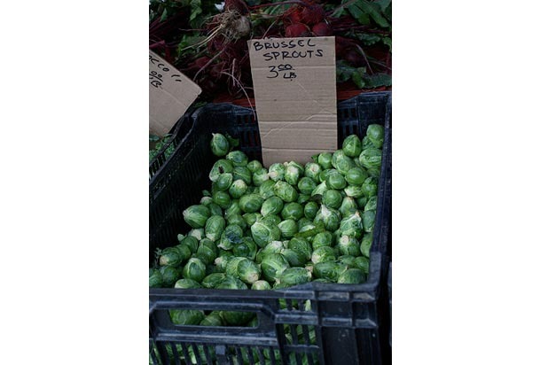 Hollywood Farmers Market