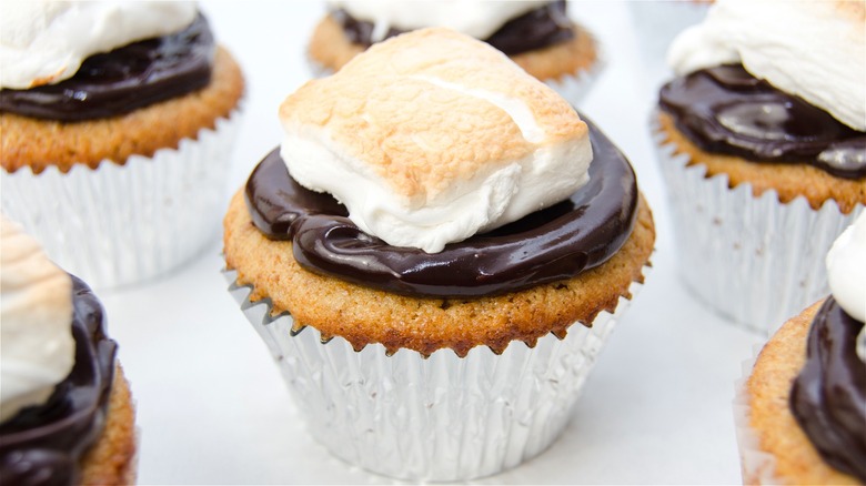 Cupcake with chocolate frosting and marshmallow