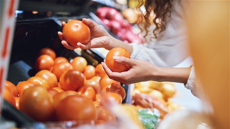 person holding different tomatoes