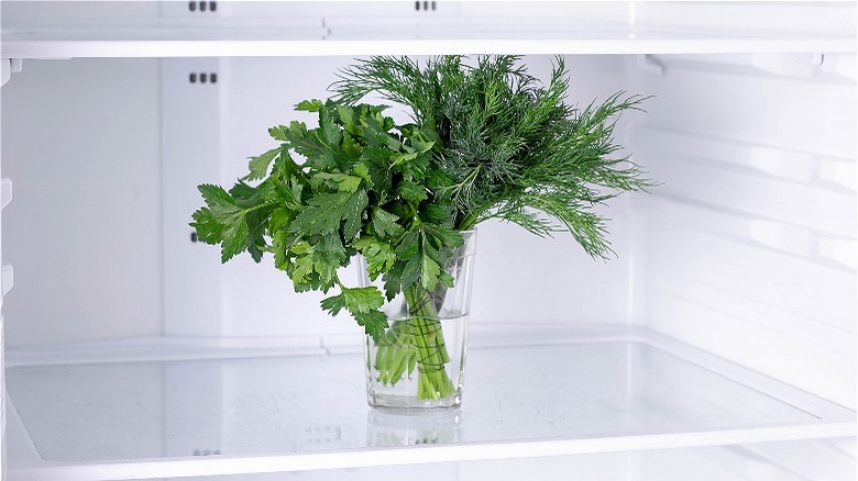 herbs inside refrigerator