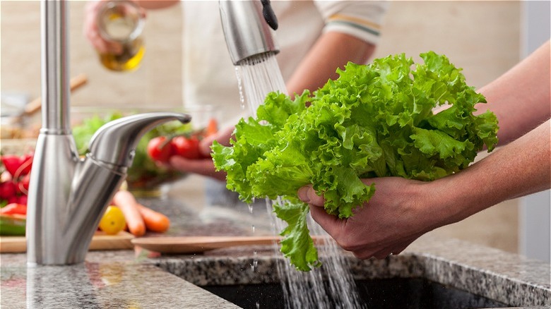 leafy greens being washed