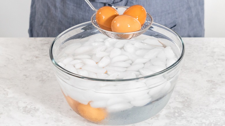 Retrieving eggs from an ice bath