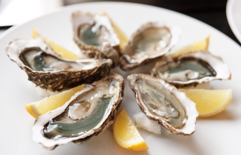 Oysters