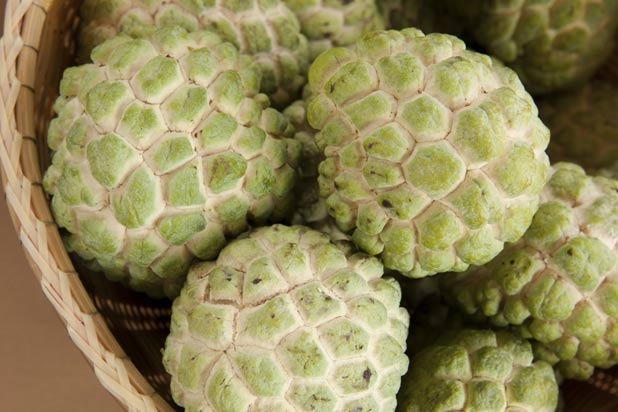 Cherimoya