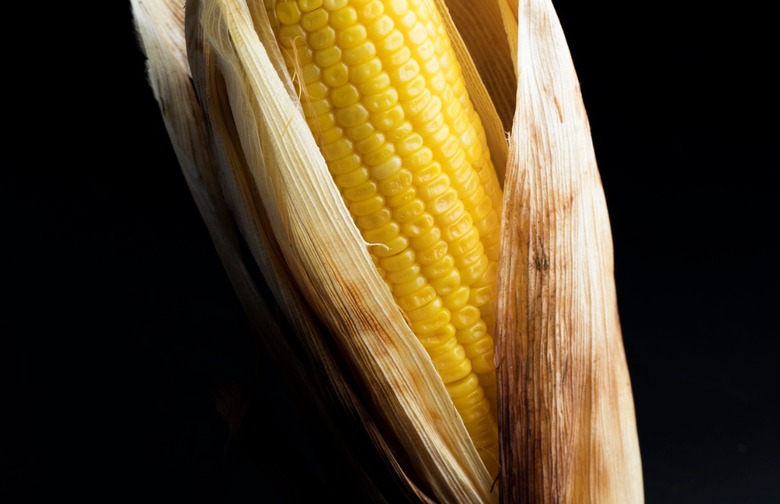 Grilled Corn on the Cob