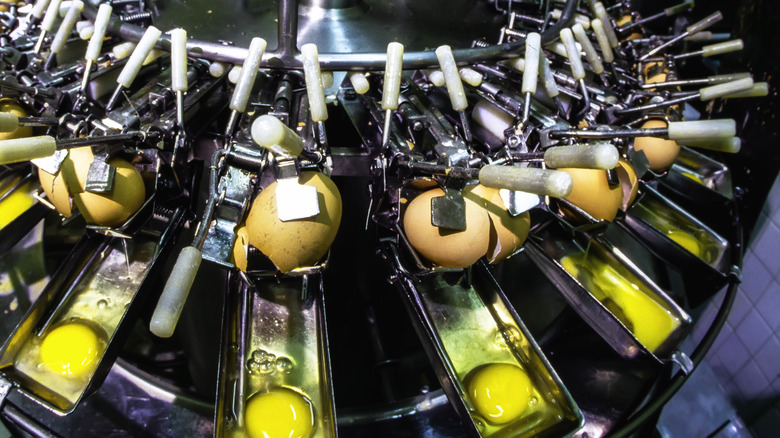 Egg yolks in machinery at mayonnaise factory