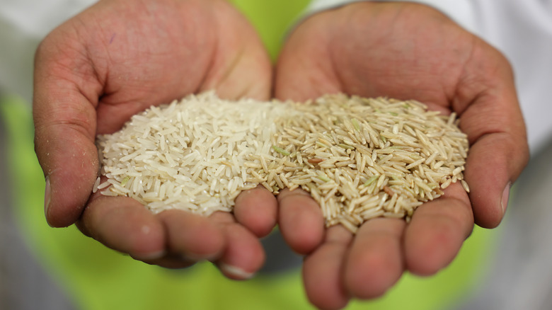 Person holding white and brown rice 