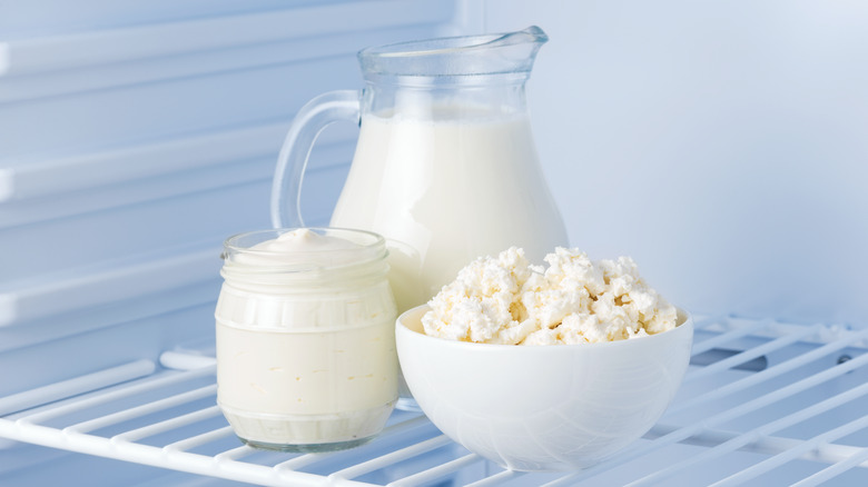 Milk, cream and cottage cheese in refrigerator 