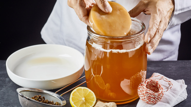 Hands place a SCOBY in a jar of tea