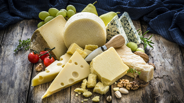 selection of cheese on a table