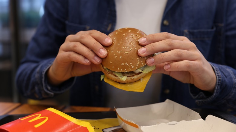 person holding McDonald's burger