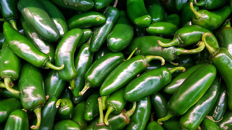 green jalapeno peppers on display