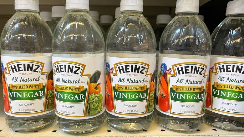 bottles of distilled white vinegar