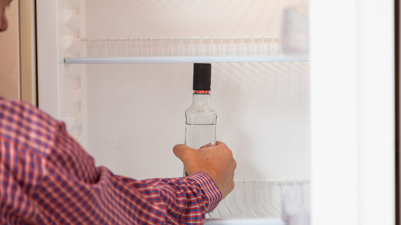 putting vodka in refrigerator