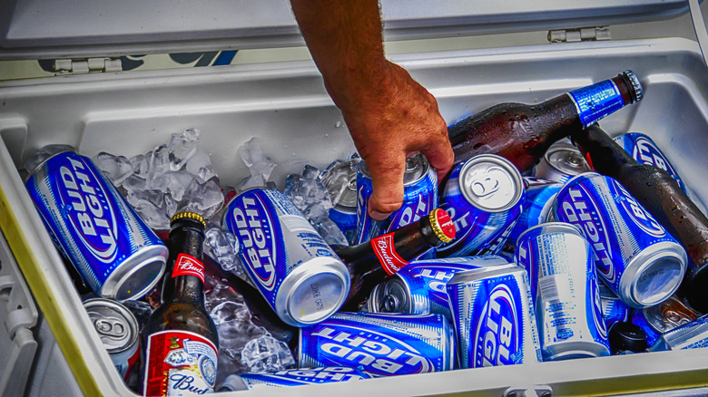 Cooler full of Bud Light