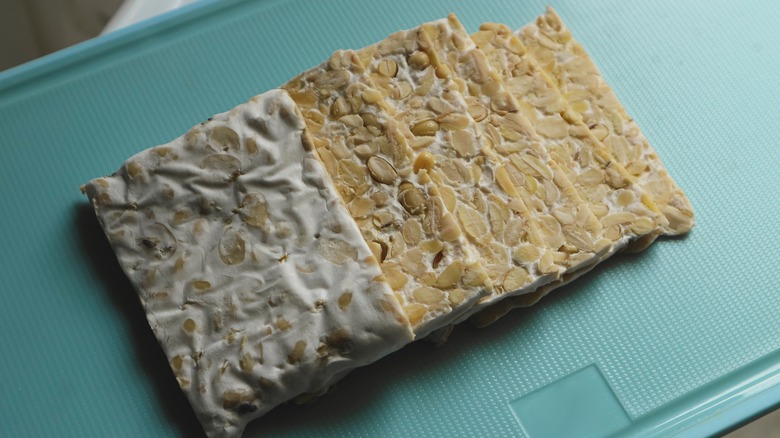 Raw tempeh slices