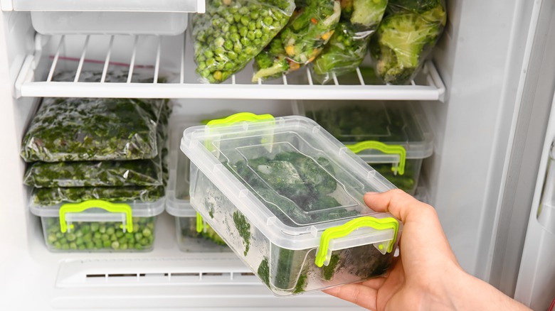 Person storing frozen spinach in freezer