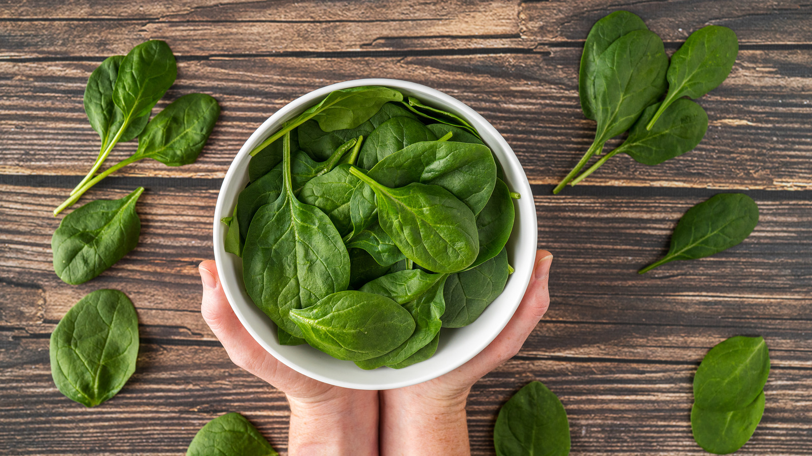 here-s-what-causes-slime-to-form-on-old-spinach