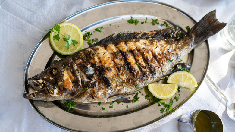 Grilled whole grouper on silver plate