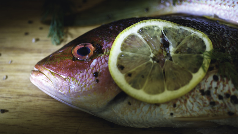 Whole raw yellowtail snapper with lemon slice on its head