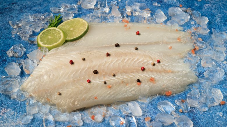 White fish fillets on ice with seasonings