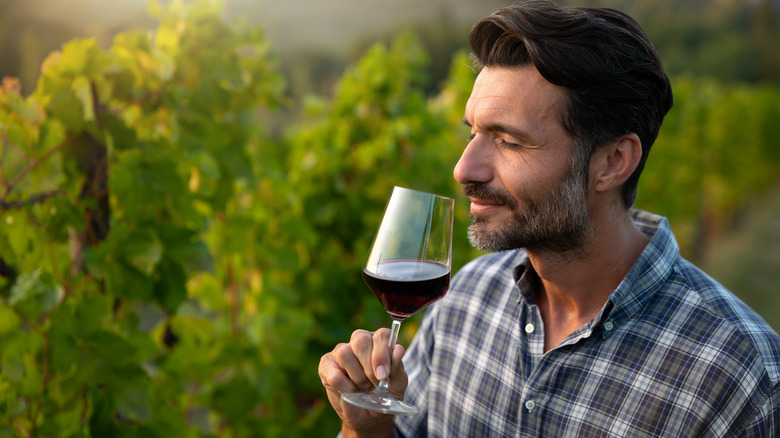 Person with beard sniffing glass of red wine in a vineyard
