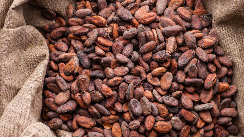 Cacao beans