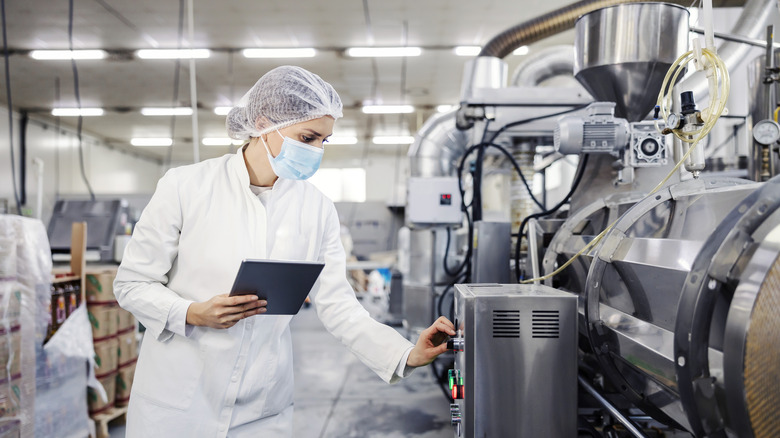 Inside a milk factory