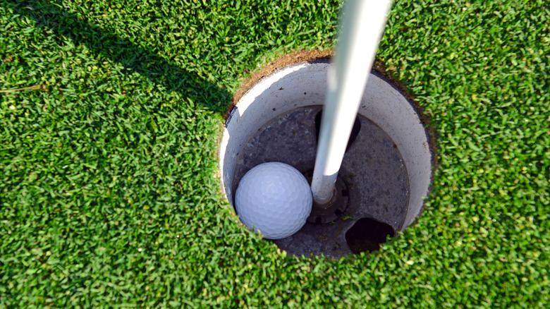 Golf ball in course hole