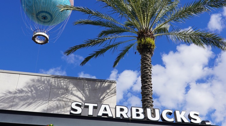 Starbucks exterior with palm tree and blue sky 