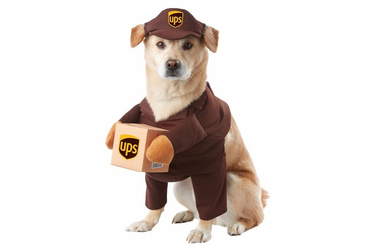 Delivery Pup