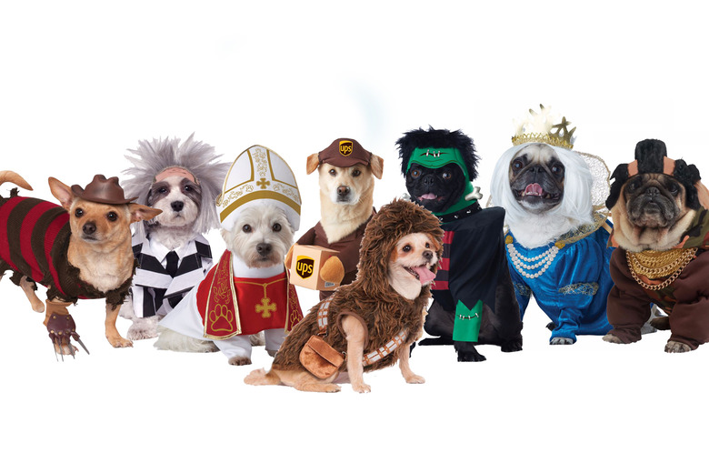  Hilarious (and Humane) Halloween Costumes for Your Pets