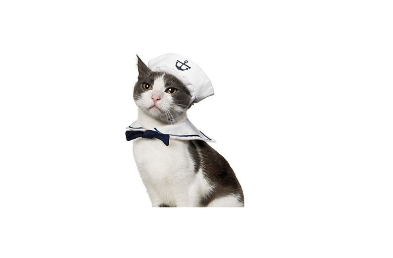 Sailor