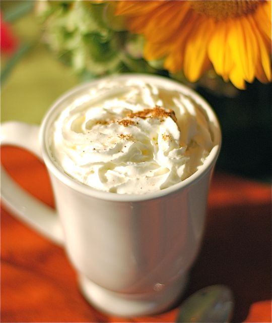 Hot Spiced Chai Latte 