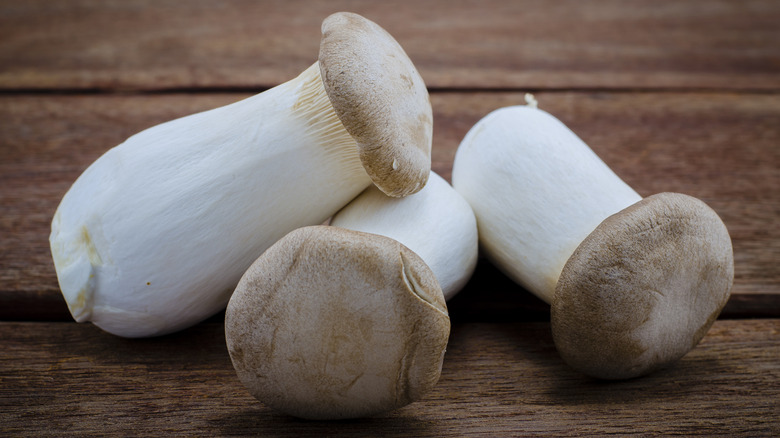 king trumpet mushrooms