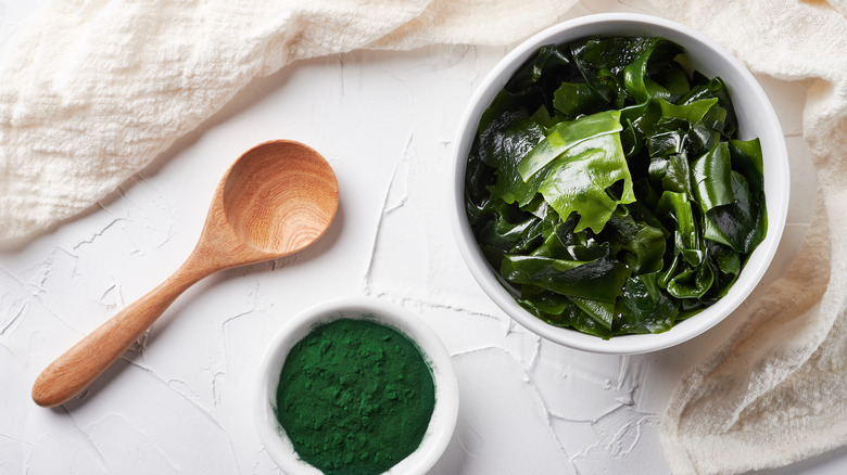 algae in bowl and spoon 