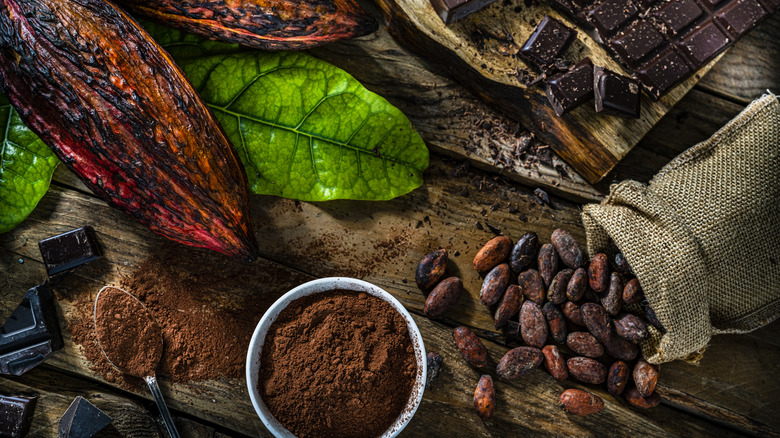 Cocoa pods and dark chocolate