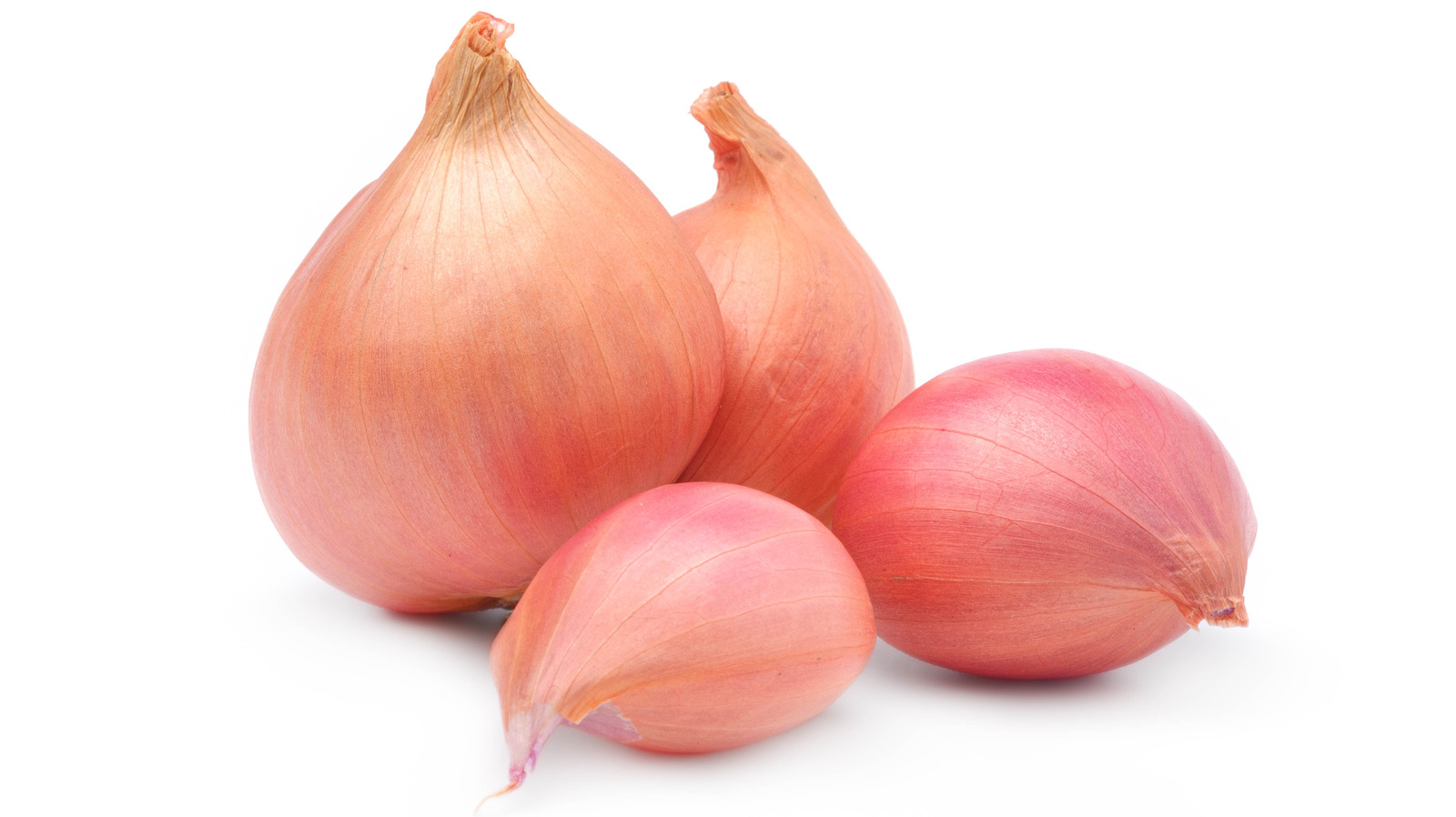 Shallot - Simple English Wikipedia, the free encyclopedia