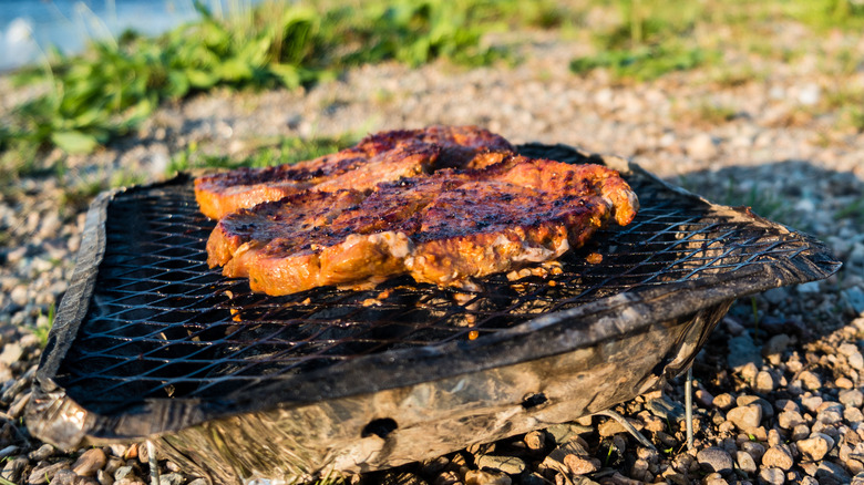 Disposable grill cooking steaks