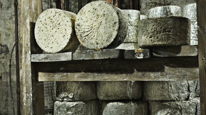 Wheels of blue cheese on wooden shelves