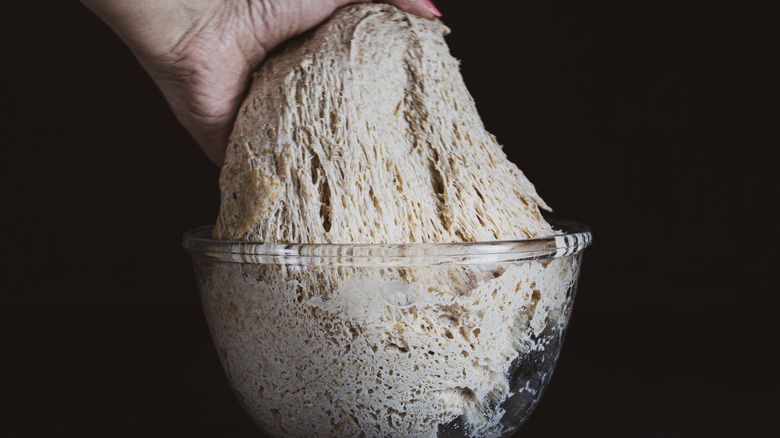 Mixing sourdough starter 