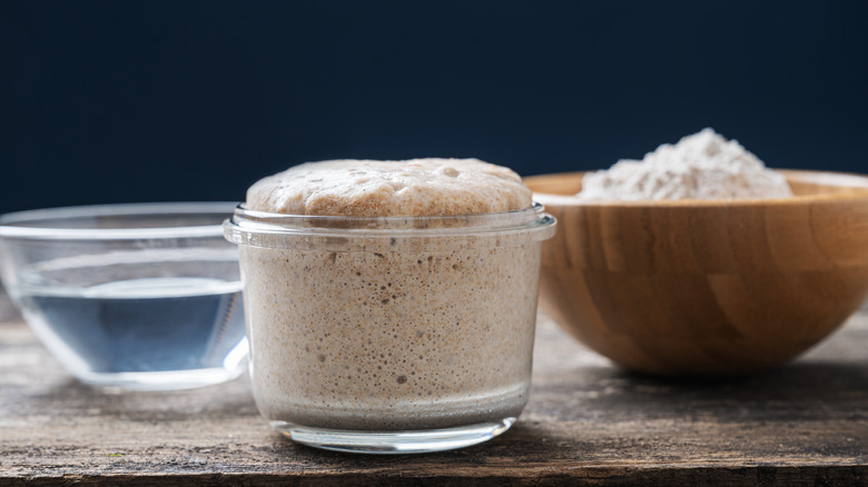 sourdough starter with flour and water 