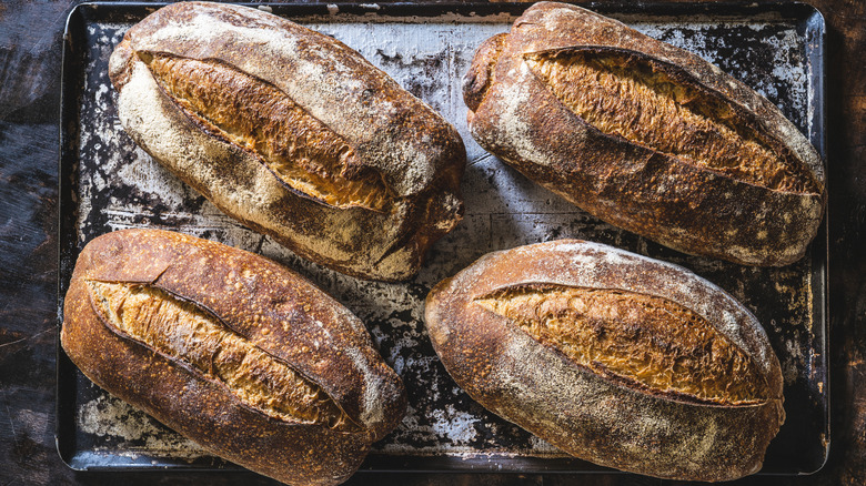 Four sourdough loaves