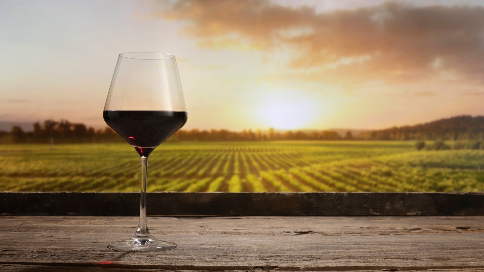 How Geography Affects Your Wine's Alcohol Content