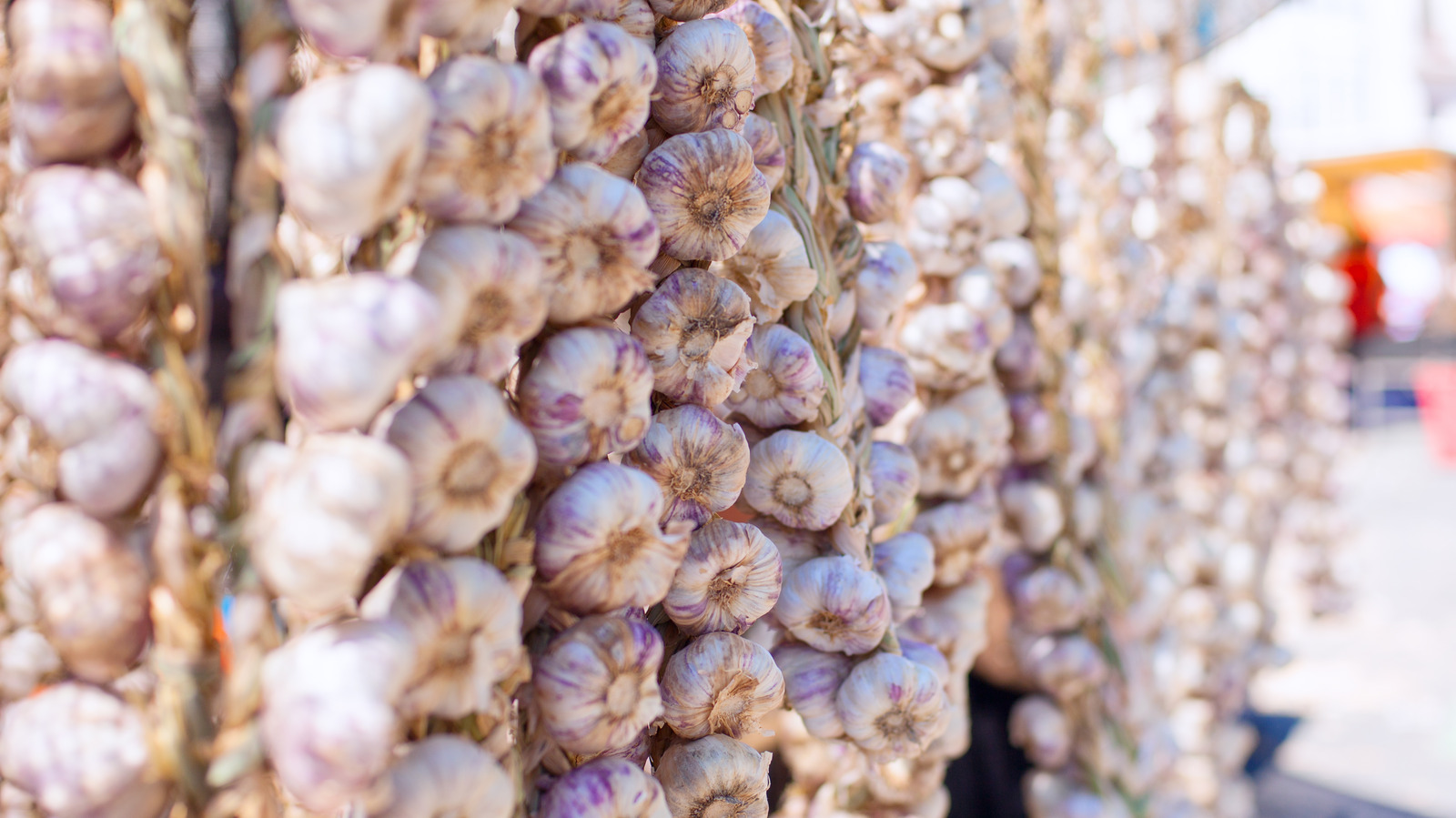 How Gilroy, California Became The Garlic Capital Of The World