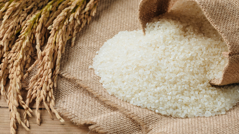 bag of rice with rice grains next to it