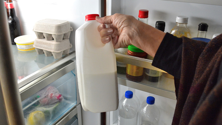 Taking milk out of fridge