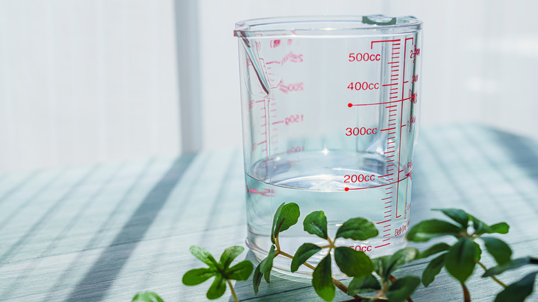 Measuring cup with white vinegar