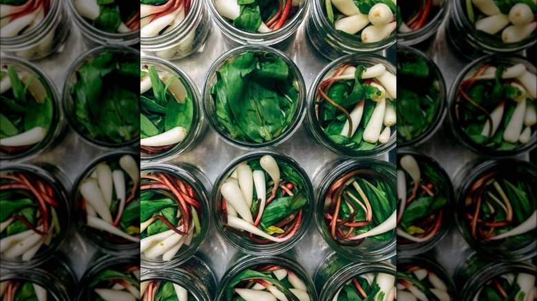 Pickled ramps in jars