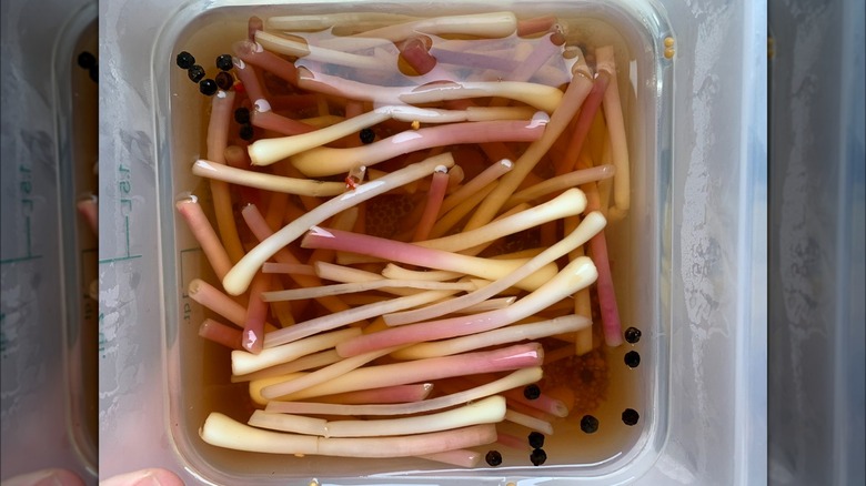 Pickled ramps in container